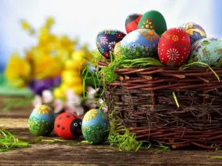 Easter Egg Hunt Invitation Wording