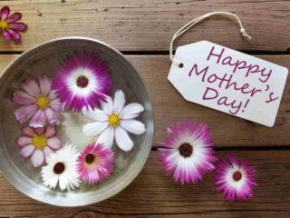 Mother's Day display with pail and flowers