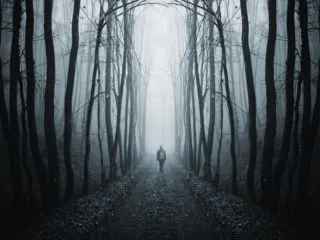Man walking in a spooky forest