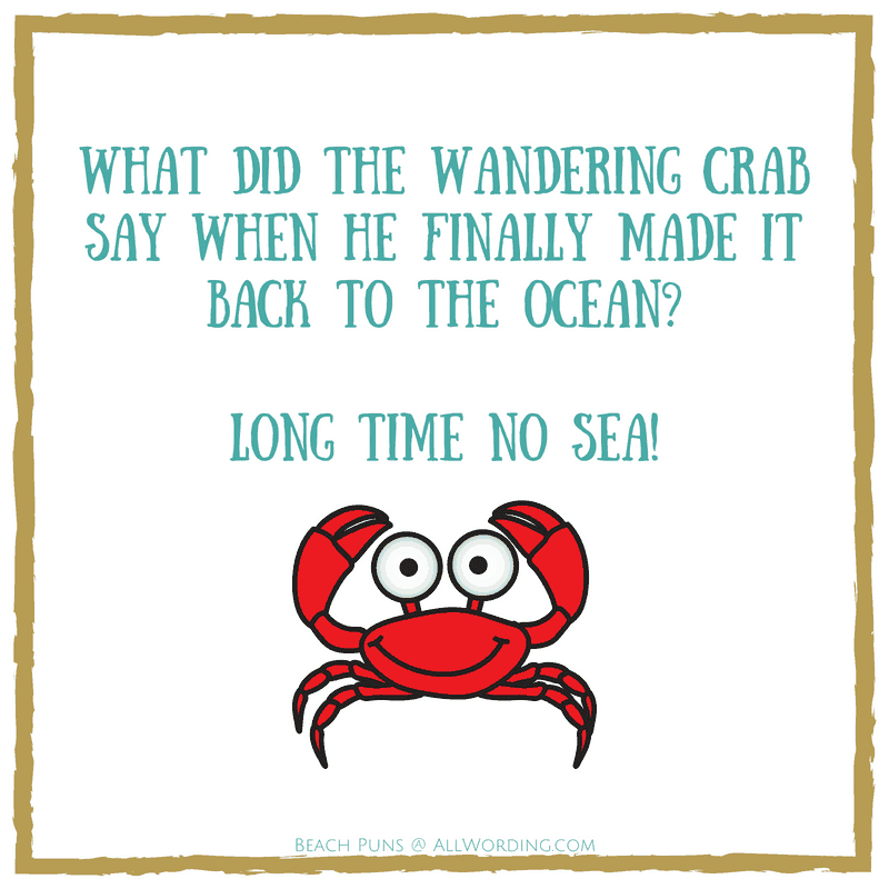 What did the wandering crab say when he finally made it back to the ocean? Long time no sea!