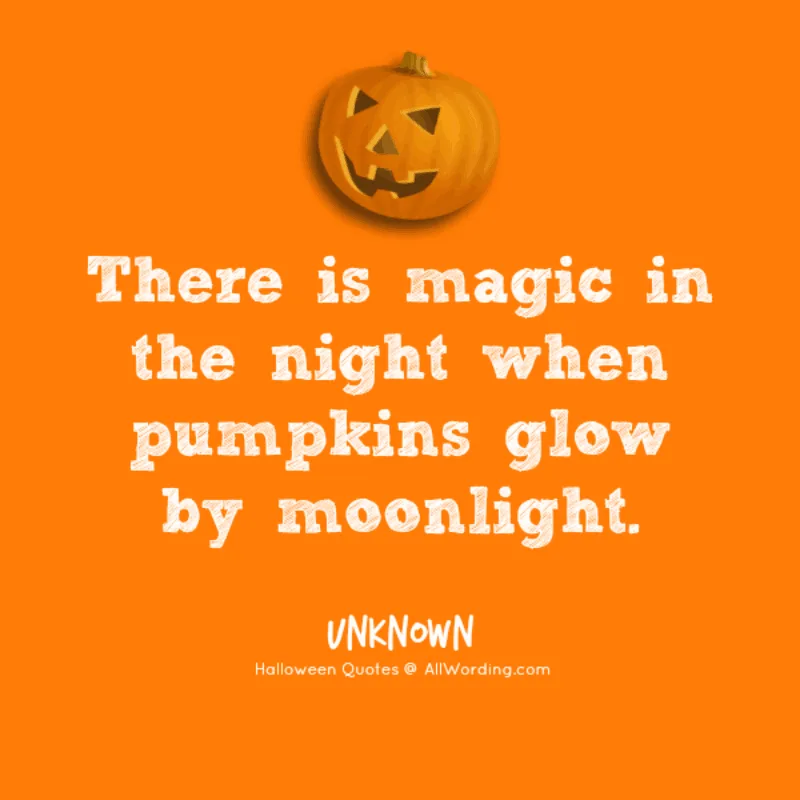 There is magic in the night when pumpkins glow by moonlight.