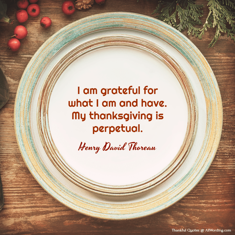 I am grateful for what I am and have. My thanksgiving is perpetual. - Henry David Thoreau