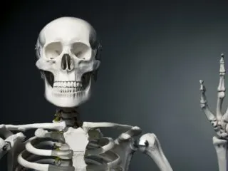 Funny picture of a skeleton posed to look like he's waving