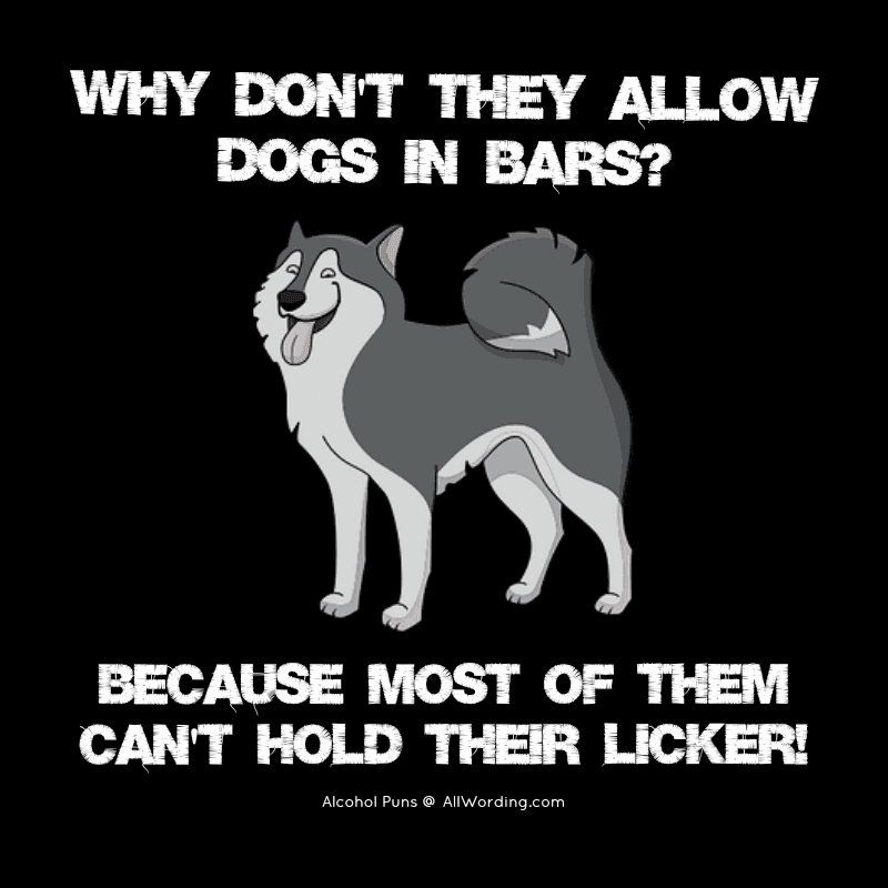 Why don't they allow dogs in bars? Because most of them can't hold their licker!