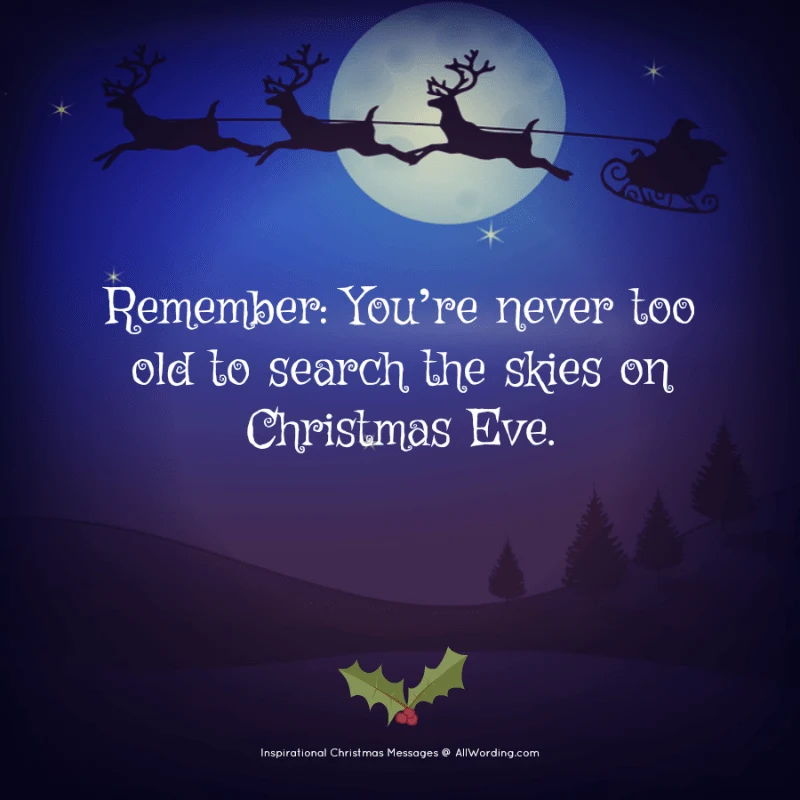 Remember: You're never too old to search the skies on Christmas Eve.