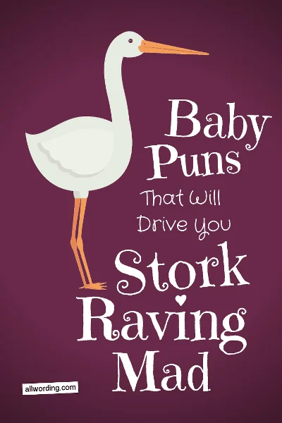These Baby Puns Will Drive You Stork Raving Mad » 