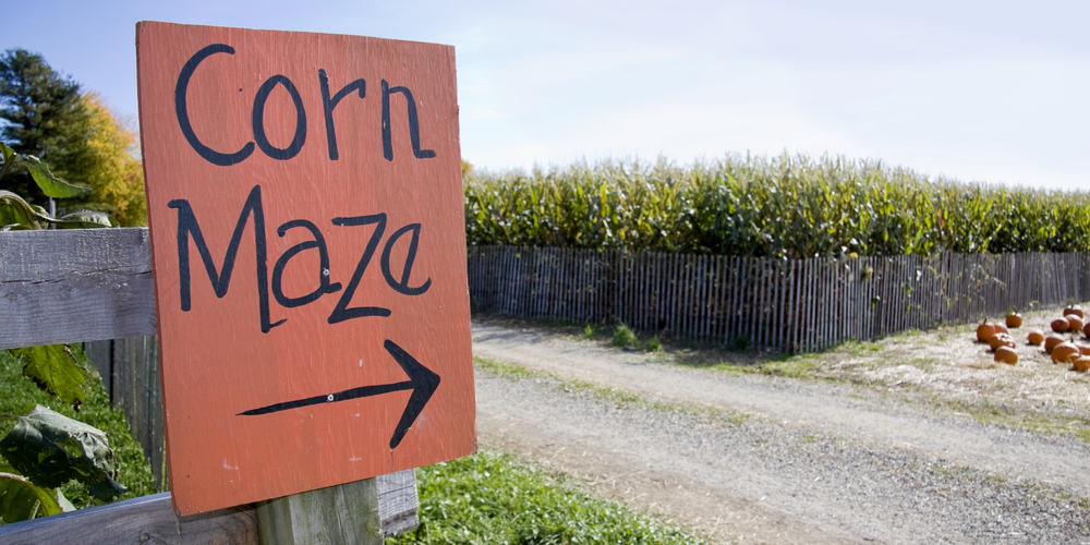Sign pointing to a corn maze