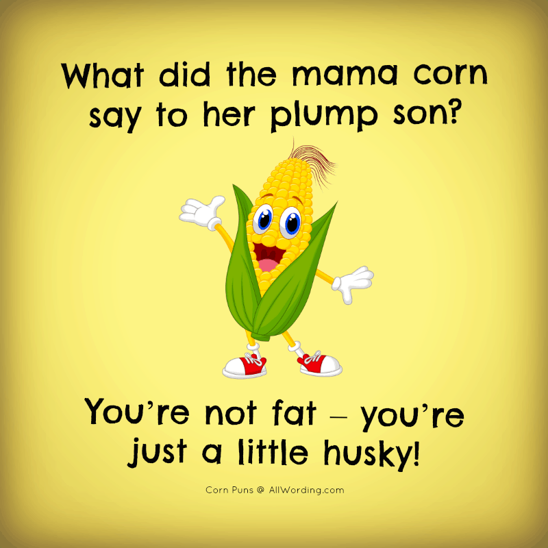What did the mama corn say to her plump son? You're not fat - you're just a little husky!