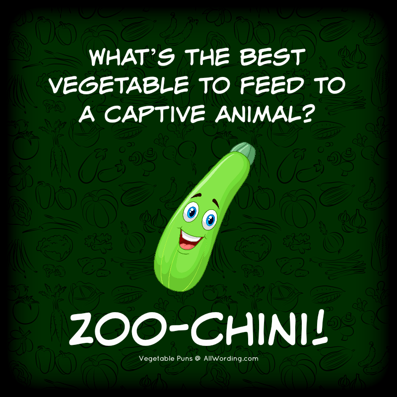 What's the best vegetable to feed to a captive animal? Zoo-chini!