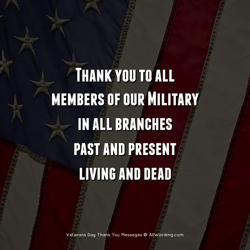 Thank you to all members of our military, in all branches, past and present, living and dead.