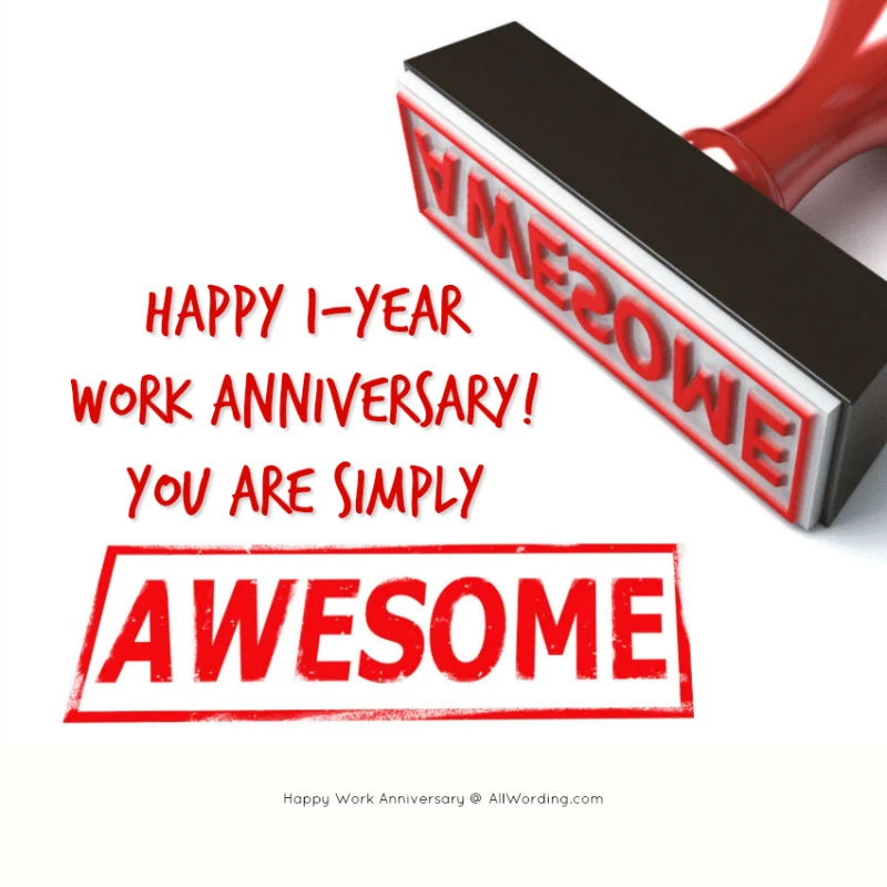 Happy 1-year work anniversary! You are simply awesome!