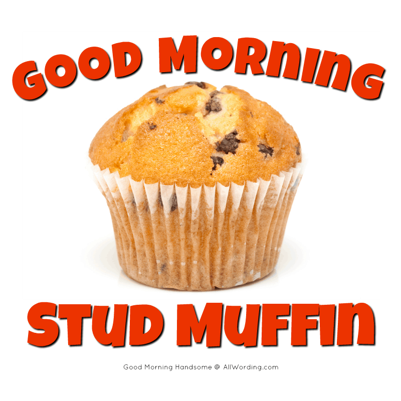 Stud muffin in spanish