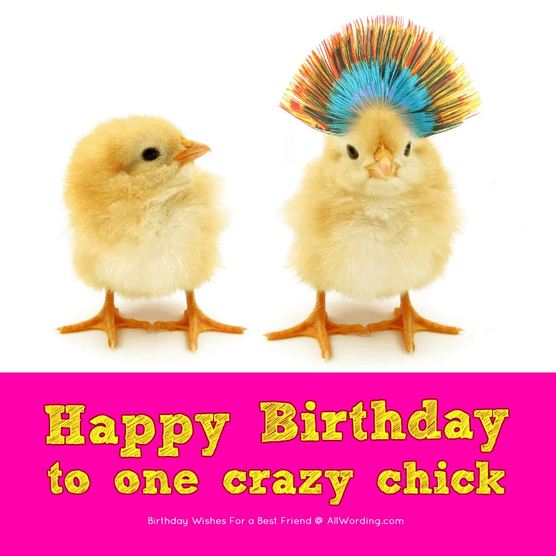 Happy Birthday to one crazy chick!