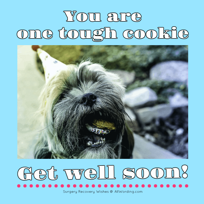 You are one tough cookie. Get well soon!
