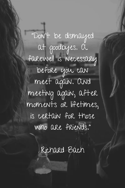Don’t be dismayed at goodbyes. A farewell is necessary before you can meet again. And meeting again, after moments or lifetimes, is certain for those who are friends. - Richard Bach