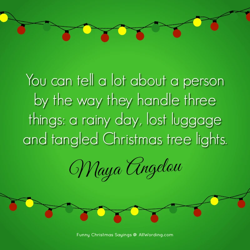 You can tell a lot about a person by the way they handle three things: a rainy day, lost luggage and tangled Christmas tree lights. - Maya Angelou