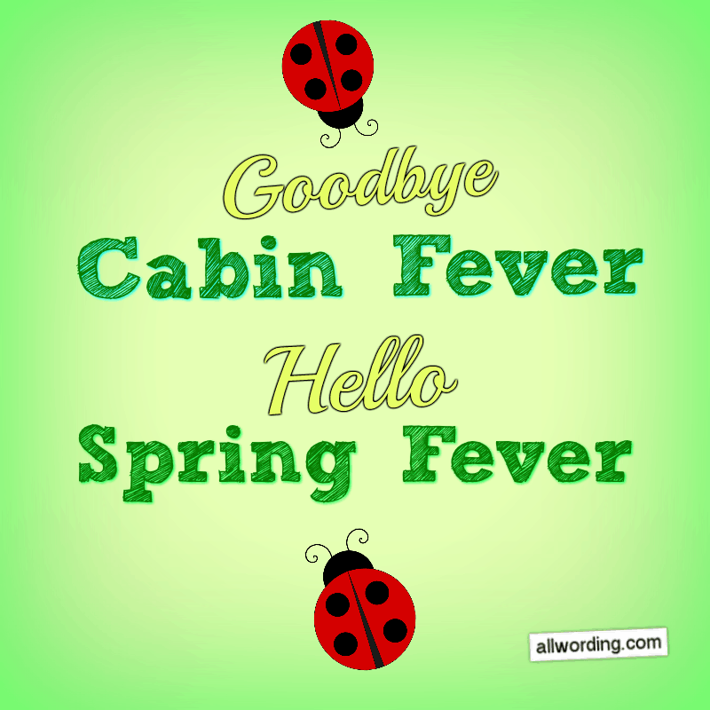 Goodbye cabin fever! Hello Spring fever!