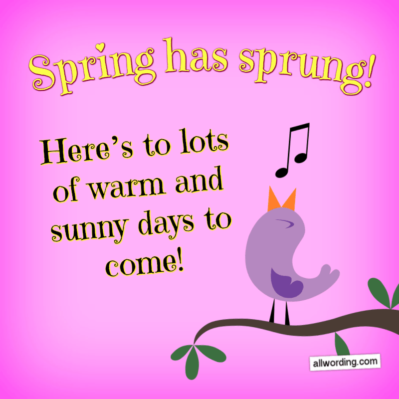 Spring has sprung! Here's to lots of warm and sunny days to come!