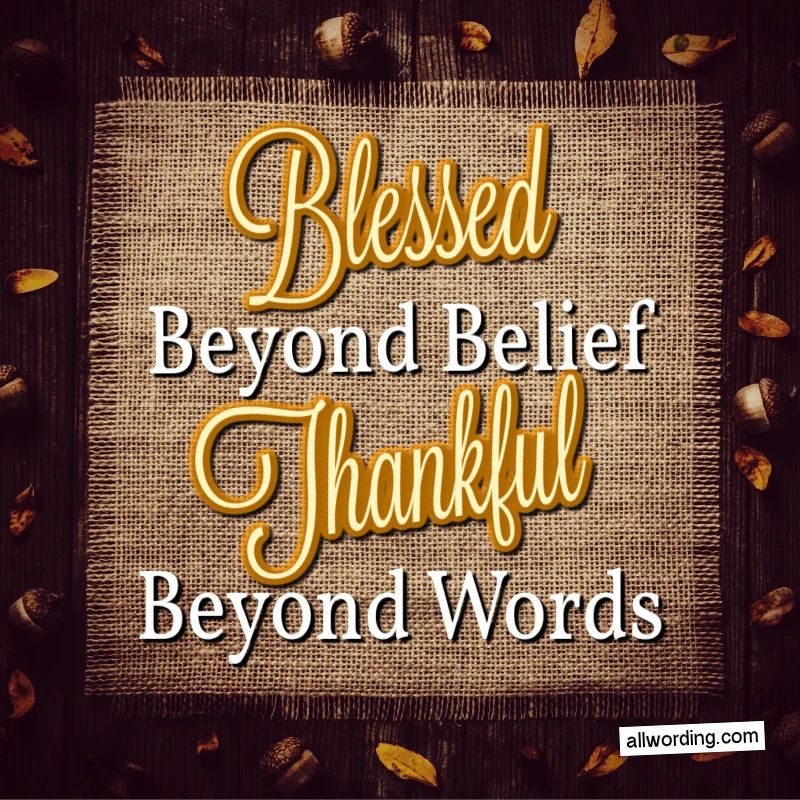 Blessed Beyond Belief, Thankful Beyond Words