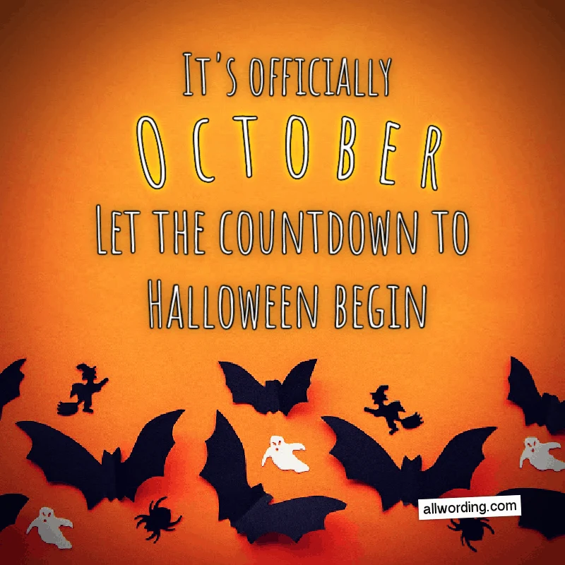 It's officially October. Let the countdown to Halloween begin.