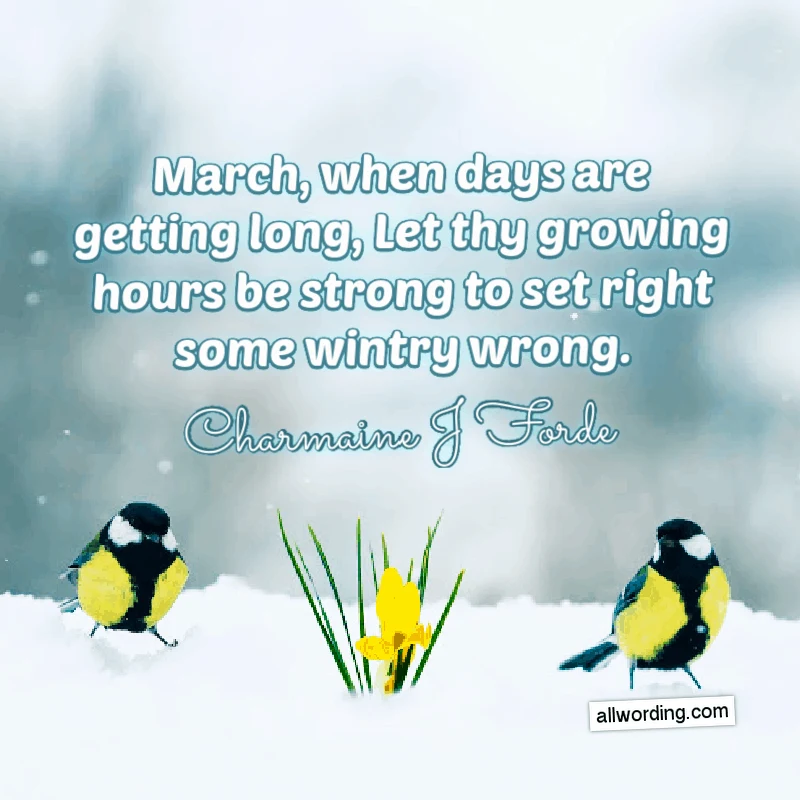 March, when days are getting long, Let thy growing hours be strong to set right some wintry wrong. - Caroline May