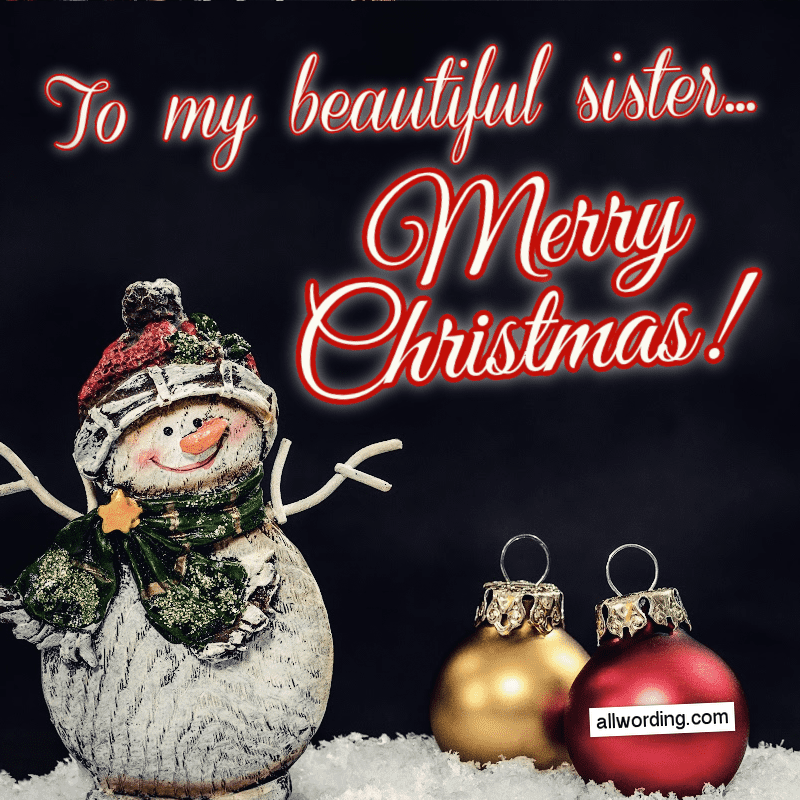 To my beautiful sister... Merry Christmas!