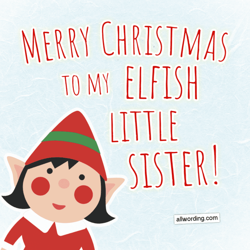 Merry Christmas to my elfish little sister!