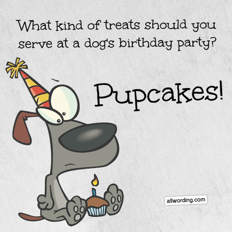 What kind of treats should you serve at a dog's birthday party? Pupcakes!