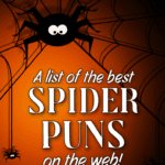 A list of the best spider puns on the web