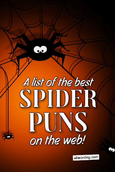 A list of the best spider puns on the web