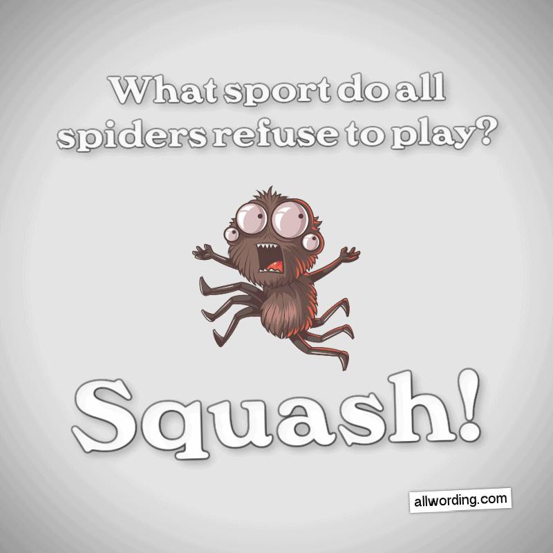 What sport do all spiders refuse to play? Squash!