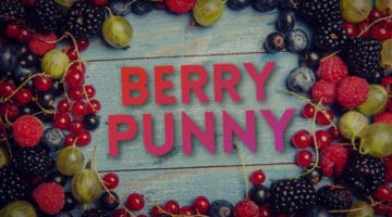 Feature image for article on berry puns