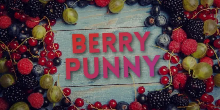 A Jam-Packed List of Berry Puns