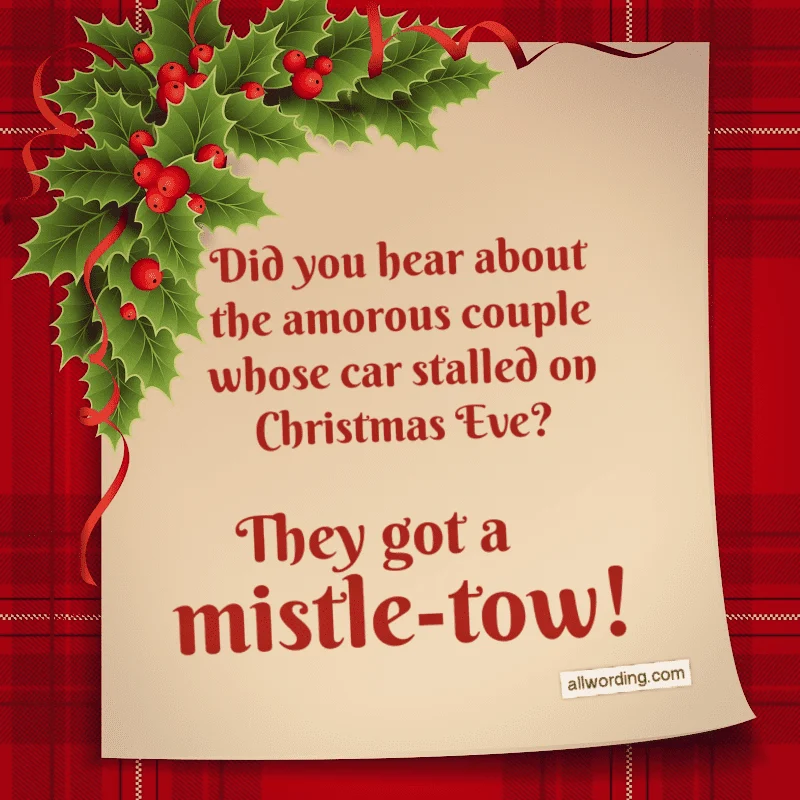 Did you hear about the amorous couple whose car stalled on Christmas Eve? They got a mistle-tow!