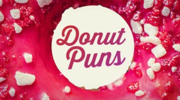 Feature image for article on donut puns