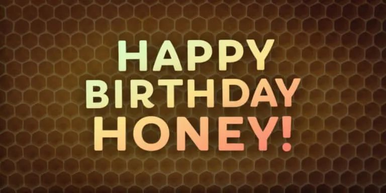 Happy Birthday, Honey! 20+ Bee-utiful Birthday Wishes