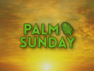 Feature image for article on how to wish people a Happy Palm Sunday