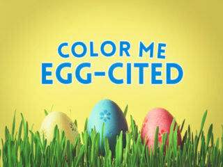 Feature image for article with Easter egg hunt name ideas