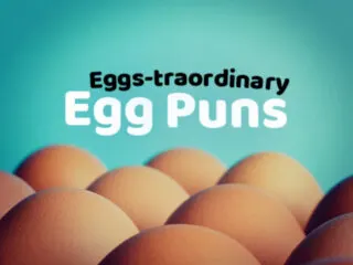 Feature image for article on egg puns