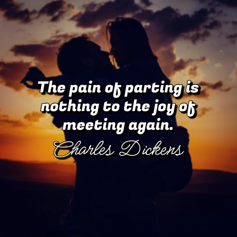 The pain of parting is nothing to the joy of meeting again. - Charles Dickens