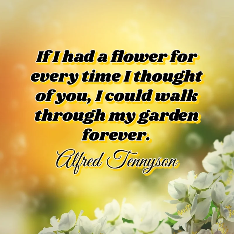 If I had a flower for every time I thought of you, I could walk through my garden forever. - Alfred Tennyson