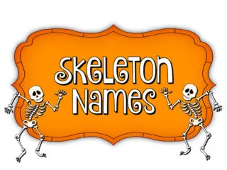 Skeleton names
