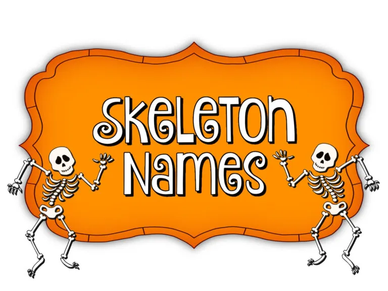 100+ Skeleton Names That Will Tickle Your Punny Bone