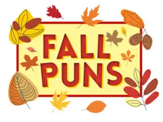 Feature image for article on fall puns aka autumn puns