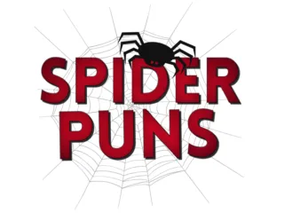 Feature image for an article on spider puns