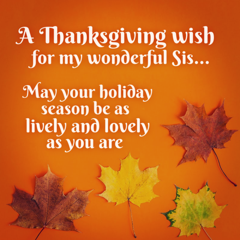A Thanksgiving wish for my wonderful Sis. May your holiday season be as lively and lovely as you are.