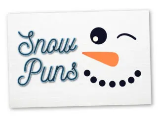 Feature image for article on snow puns