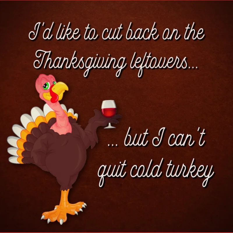 I'd like to cut back on the Thanksgiving leftovers, but I can't quit cold turkey.