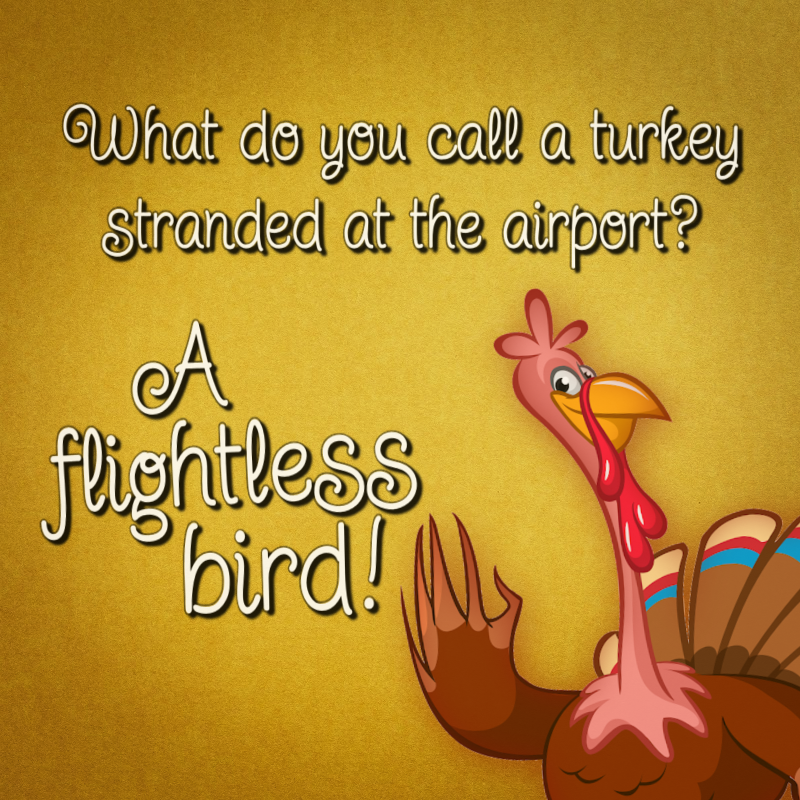 What do you call a turkey stranded at the airport? A flightless bird!