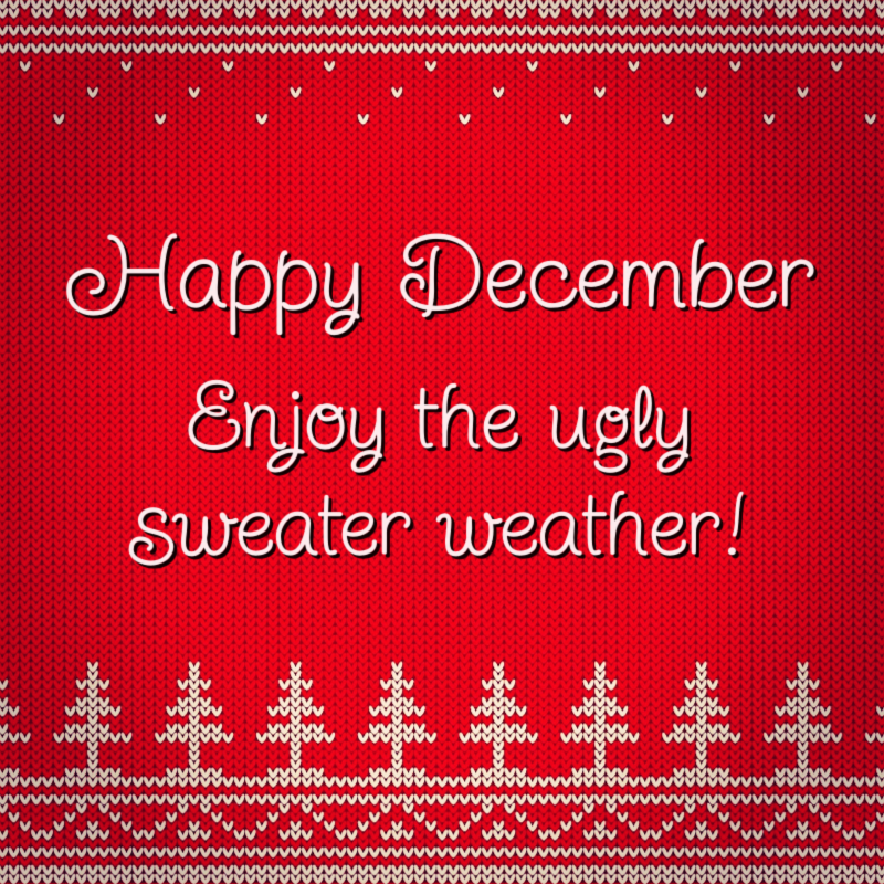 Happy December. Enjoy the ugly sweater weather.